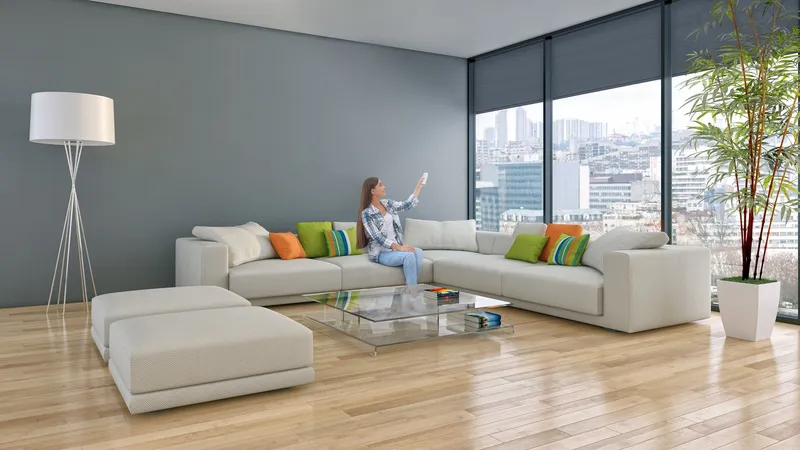 Moteur tubulaire Somfy